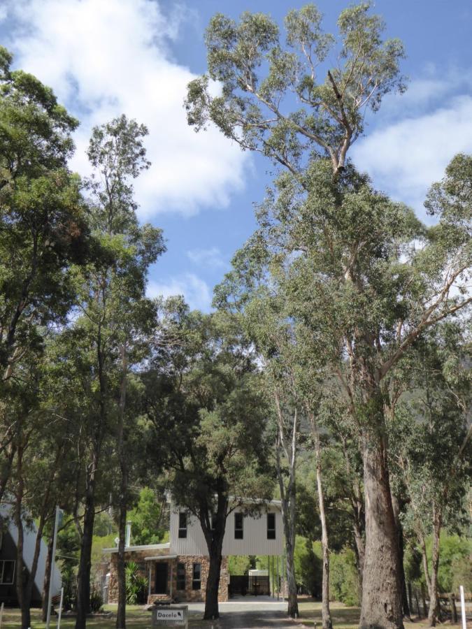 Villa Dacelo à Halls Gap Extérieur photo